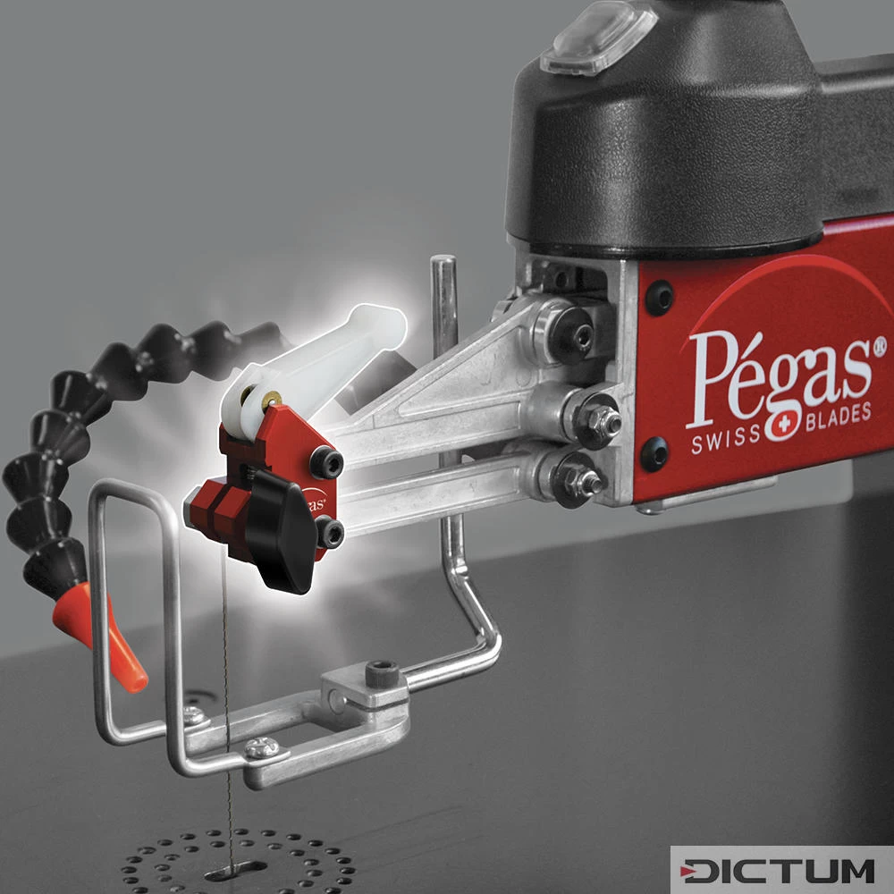 Lot Complet De Pinces-lames De Scie Pégas – Image 2