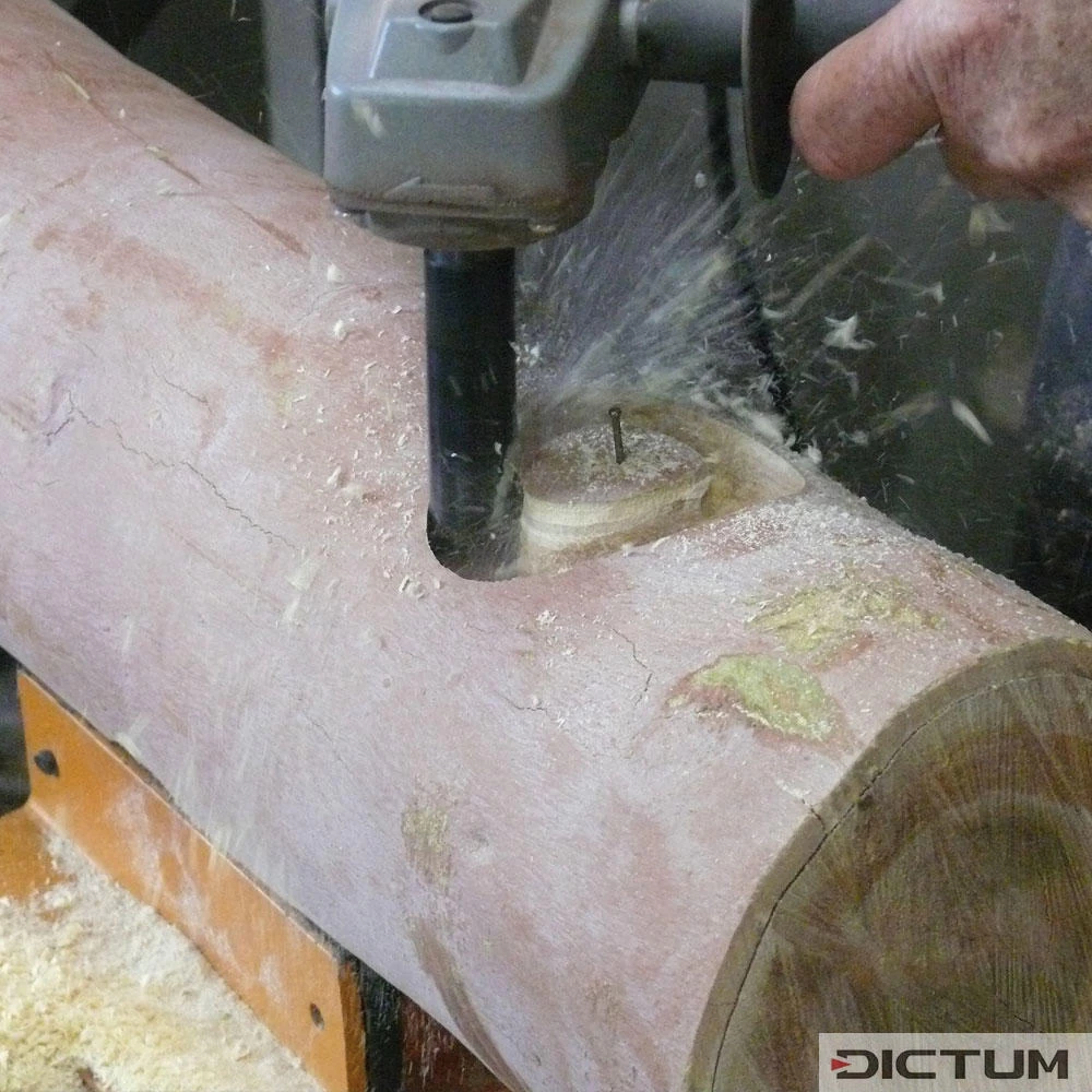 Arbortech TurboShaft – Image 6