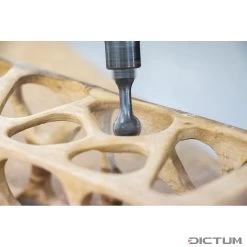 Arbortech Precision Carving System (système De Fraisage De Précision) -Silky Boutique 715980 03 A WE 8 Arbortech Precision Carving System WZ jpg